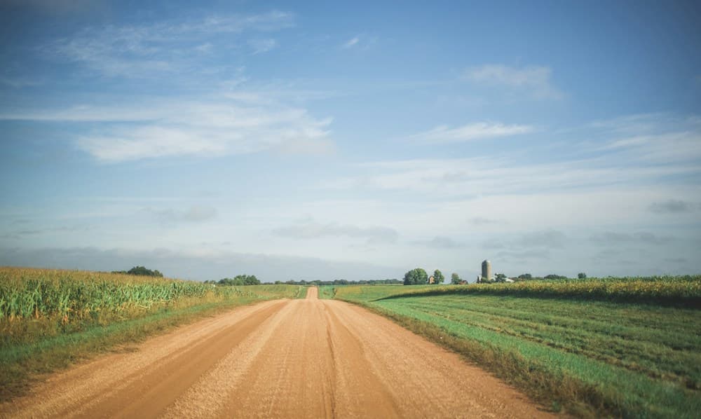 Paisagem rural